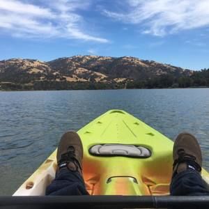 Meet your Posher, Elmer